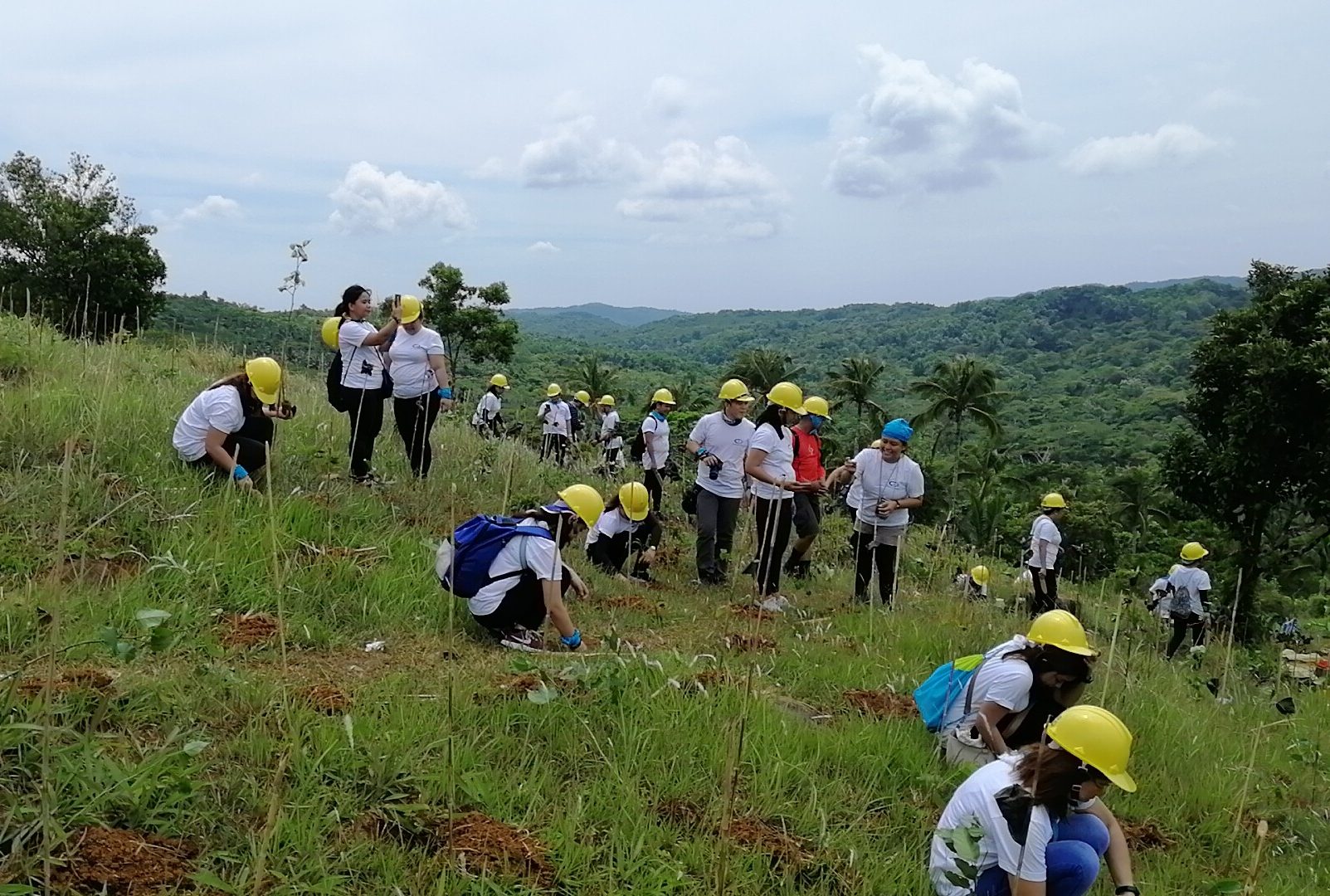 CIC employees participate in a tree-planing program as part of the company's CSR